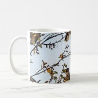 De Café Caneca
