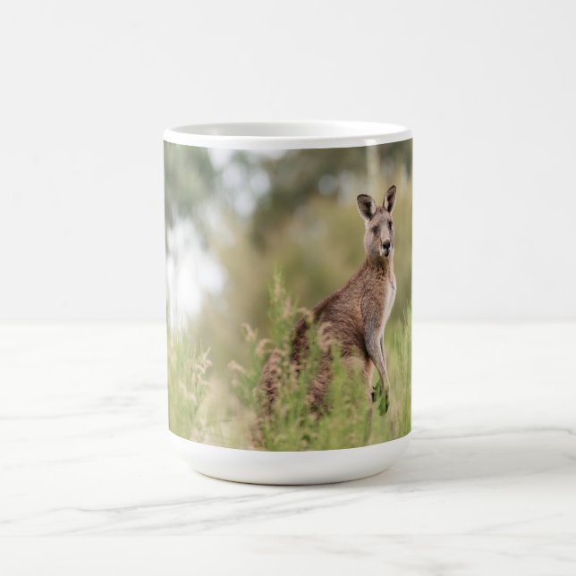 De Café Caneca (Centro)