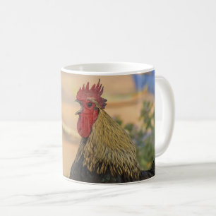 De Café Caneca