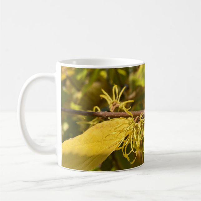 De Café Caneca (Esquerda)