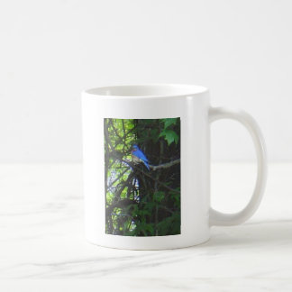 De Café Caneca 2 da foto do Bluebird