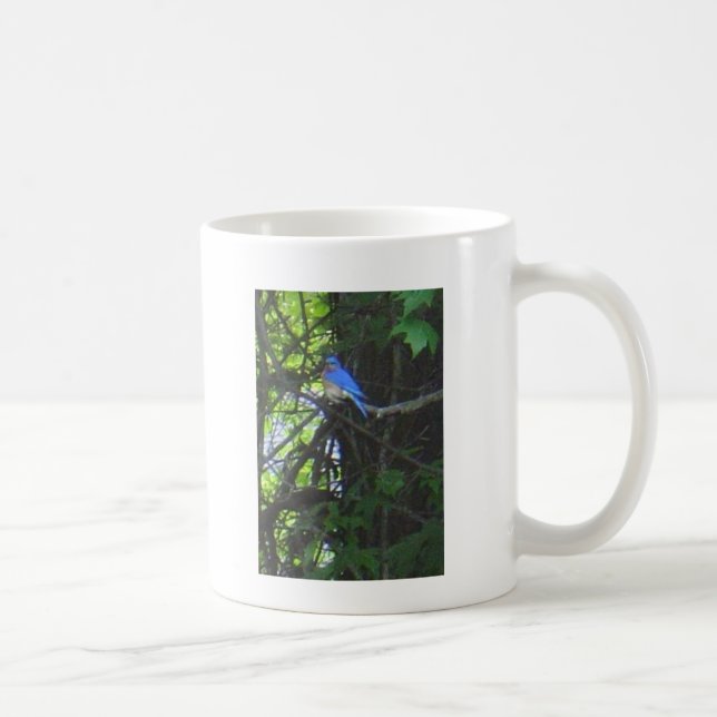 De Café Caneca 2 da foto do Bluebird (Direita)