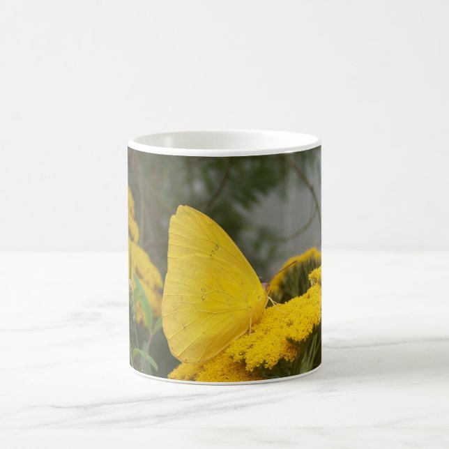 De Café Caneca amarela da borboleta (Centro)