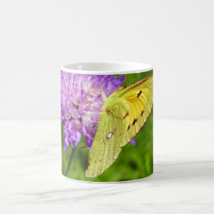 De Café Caneca amarela nublada do inseto da borboleta