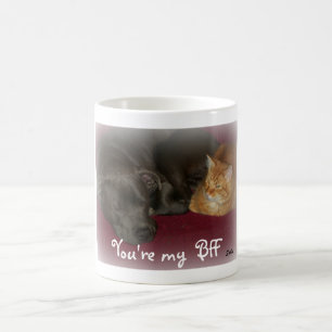 De Café Caneca Amigos Gato e Cachorro para Sempre