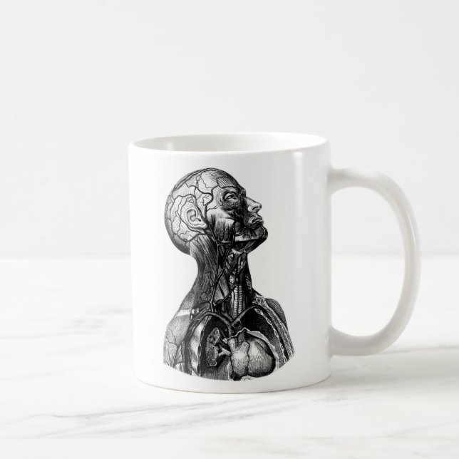 De Café Caneca anatômica do desenho do torso superior (Direita)