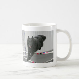 De Café Caneca belga da agilidade do Sheepdog