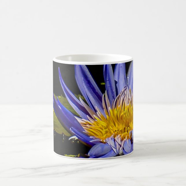 De Café Caneca "Blue Tropic" (Centro)