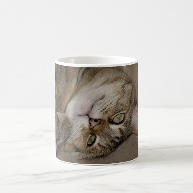 De Café Caneca bonito do gatinho (Centro)