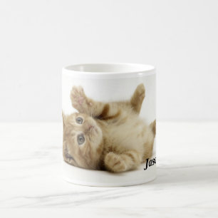 De Café Caneca bonito do gatinho