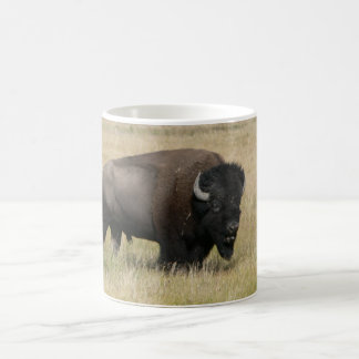 De Café Caneca branca clássica do búfalo