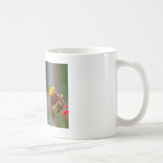 De Café Caneca branca clássica do colibri