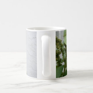 De Café Caneca branca clássica do espinafre selvagem