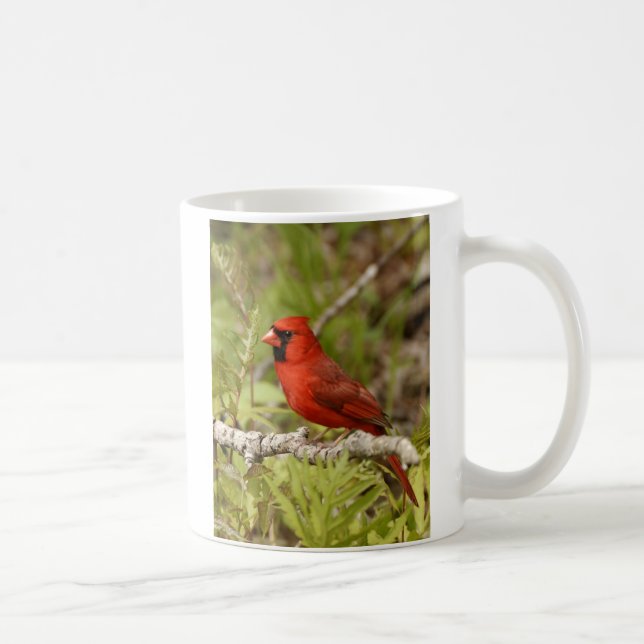 De Café Caneca cardinal (Direita)