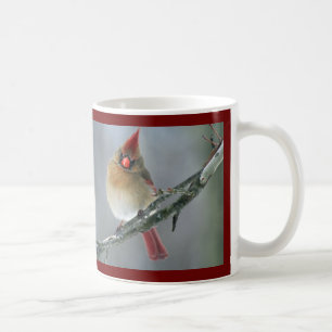 De Café Caneca cardinal do norte