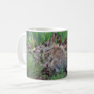 De Café Caneca com coelho