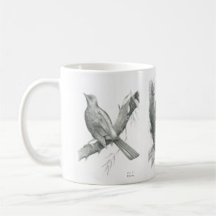 De Café Caneca com os 3 pássaros cambojanos por Vannak