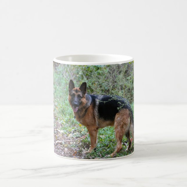 De Café Caneca com pastor alemão (Centro)