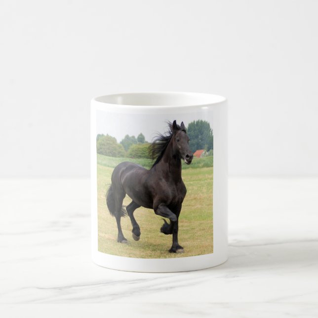 De Café Caneca com um cavalo bonito do Frisian (Centro)