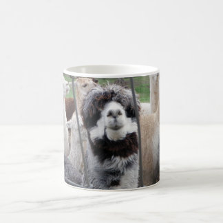 De Café Caneca da alpaca:)