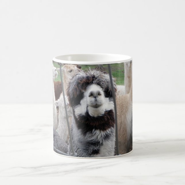 De Café Caneca da alpaca:) (Centro)