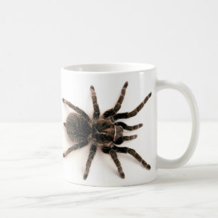 De Café Caneca da aranha do Tarantula
