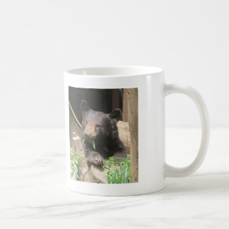 De Café Caneca da cinza