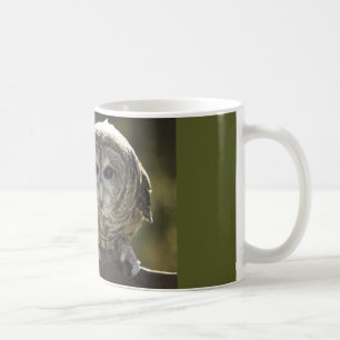 De Café Caneca da coruja