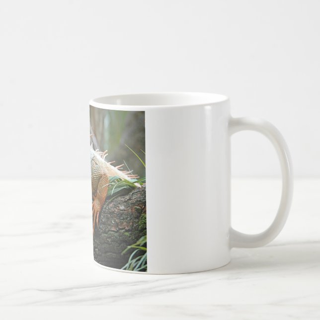 De Café Caneca da iguana (Direita)