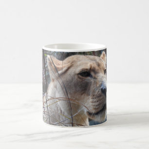 De Café Caneca da leoa