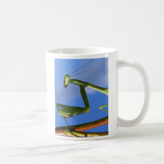 De Café Caneca da louva-a-deus