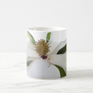 De Café Caneca da magnólia