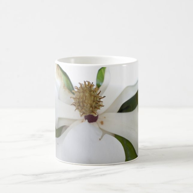 De Café Caneca da magnólia (Centro)