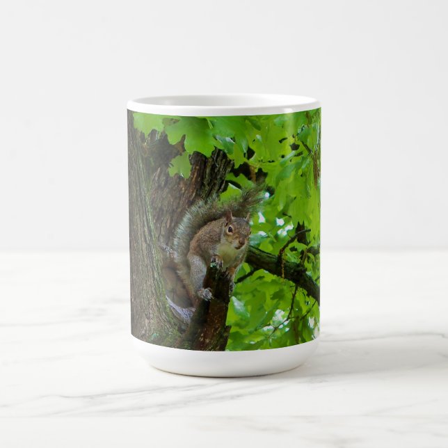 De Café Caneca da Natureza com Esquilo em Carvalho (Centro)