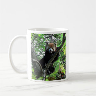 De Café Caneca da panda vermelha