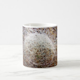 De Café Caneca da Teia da Aranha da Cúpula Fina