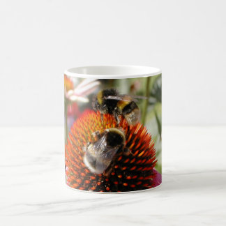 De Café Caneca das abelhas