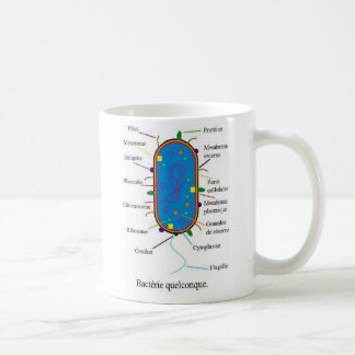 De Café Caneca das bactérias