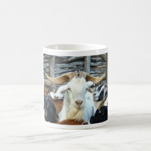 De Café caneca das cabras