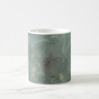 De Café Caneca das medusas