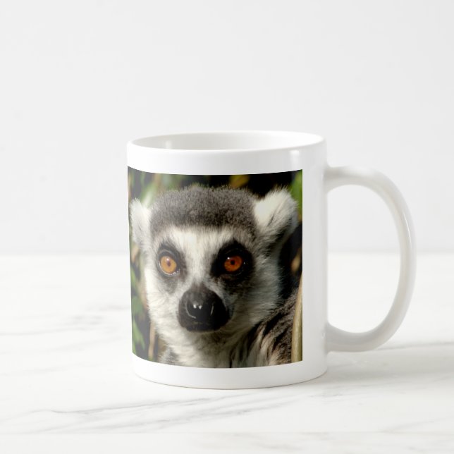 De Café Caneca desconcertada do Lemur (Direita)