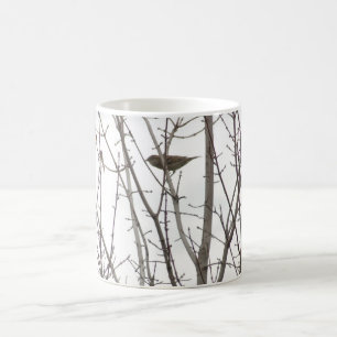 De Café Caneca desencapada do pássaro do membro