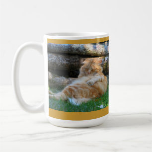 De Café Caneca do abrandamento