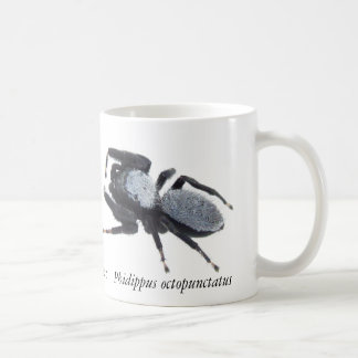De Café Caneca do Aranha Saltadora do Grande Basin Masculi