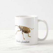 Caneca do Besouro da Bolota