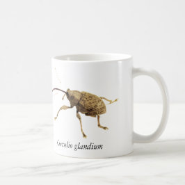 De Café Caneca do Besouro da Bolota