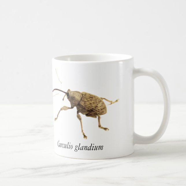 De Café Caneca do Besouro da Bolota (Direita)