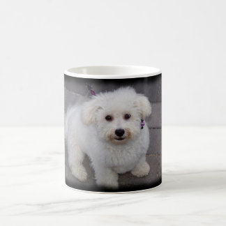 De Café caneca do bichon