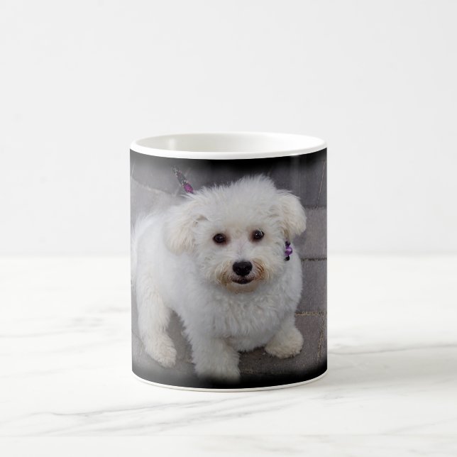 De Café caneca do bichon (Centro)