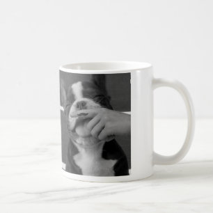 De Café Caneca do bigode do buldogue francês